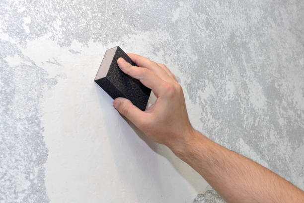 Best Commercial Mold Inspection  in Old Mystic, CT