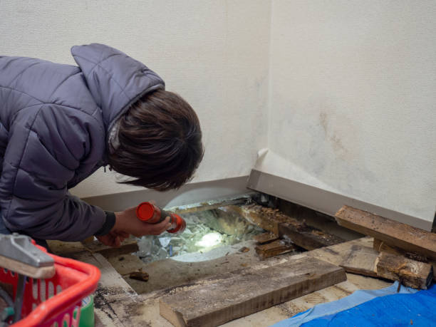 Best Industrial Mold Remediation  in Old Mystic, CT
