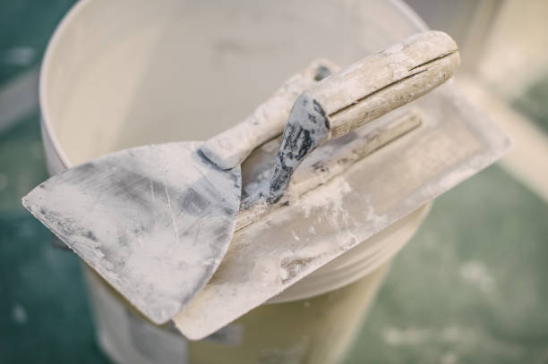 Best Mold Damage Restoration  in Old Mystic, CT